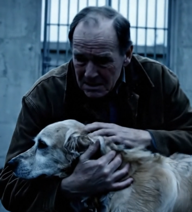 I Was Inmate 3041, Sentenced to Rot for 25 Years. They Gave Me the “Untrainable” Police Dog to Tame. He Was Taken Away. The Day I Was Released, That Dog Was Waiting. He Was Old, Gray, and What He Did Next Left Every Guard in Tears.